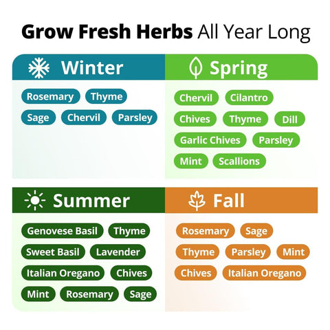 Culinary Herb Seed Vault - (15 Variety)