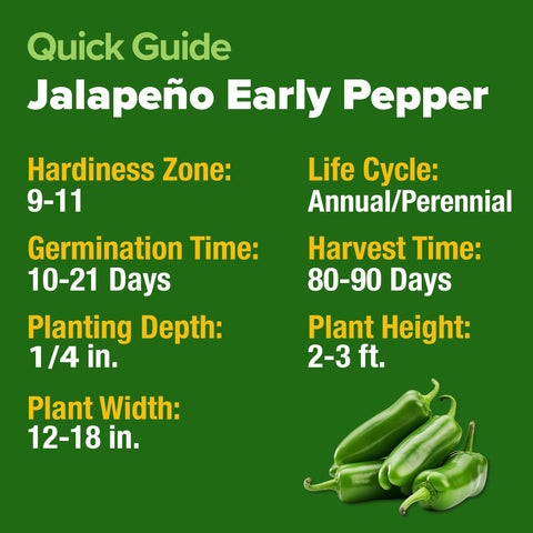 Jalapeno Early Pepper Seeds - 258 Seeds (2-Pack) - Early Harvest