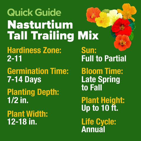 Dwarf Nasturtium Seeds - 250 Seeds - Edible Flowers (1oz)