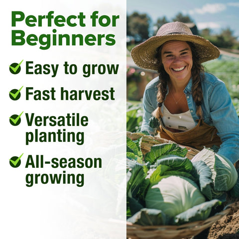 Cabbage Seed Pack - 7 Varieties (2,000+ Seeds) - Heirloom Mix