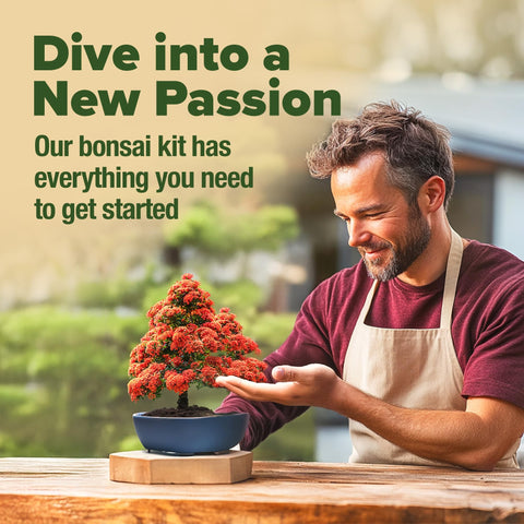 Bonsai Starter Kit - 6 Seed Varieties