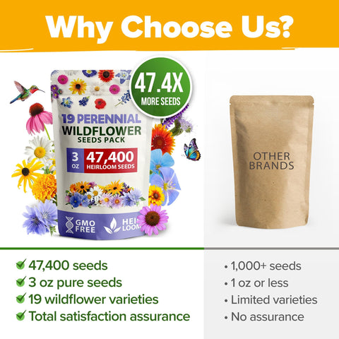Wildflower Seed Mix - 47,400+ Seeds - 19 Annual & Perennial Varieties