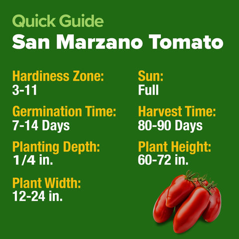 San Marzano Tomato Seeds - Classic Sauce Tomato - Heirloom