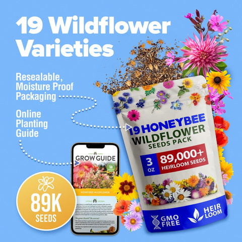 Honeybee Wildflower Seed Mix - 89,000+ Seeds (3 oz) - 19 Varieties