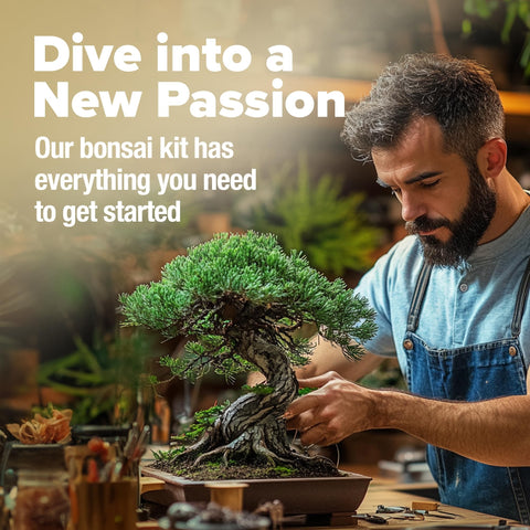 Deluxe Bonsai Tree Kit