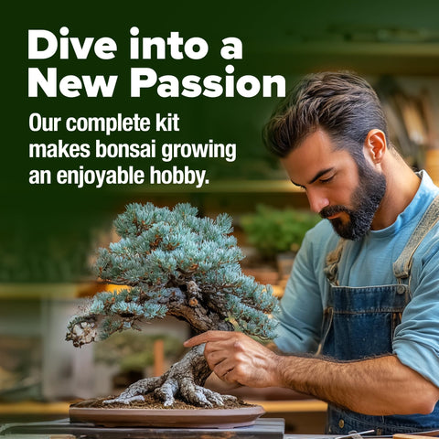 Bonsai Tree Grow Kit