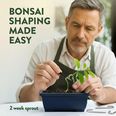 Bonsai Growing Kit - 4 Tree Varieties - Pots, Soil & Tools