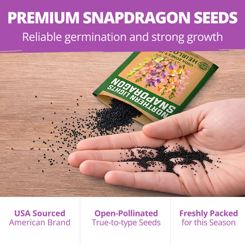 HOME GROWN Snapdragon Northern Lights Seeds – 6000 Seeds for Spring 2026, Pastel Snapdragons, Pollinator-Friendly Cut Flowers (Antirrhinum majus)