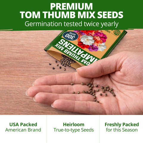 HOME GROWN Impatiens Tom Thumb Mix 300 Flower Seeds, Impatiens balsamina, Heirloom Non-GMO, Double Blooms, 5 Colors