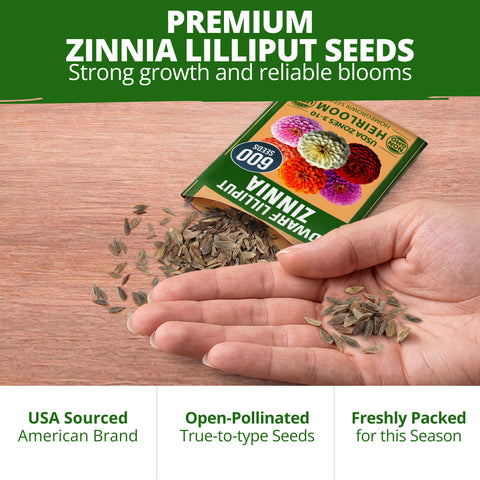HOME GROWN Zinnia Lilliput Flower Seeds – 1,200 Seeds, Zinnia elegans, Heirloom Non-GMO Double Blooms, Compact 18–24 Inch Plants, Pollinator & Cut Flowers