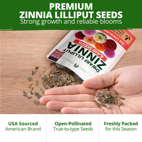 HOME GROWN Lilliput Mix Zinnia Seeds for Planting 8450 Seeds 57g Heirloom Non GMO Double Dwarf Pompon Blooms for Containers Borders Cut Flowers Pollinator Gardens Zinnia elegans