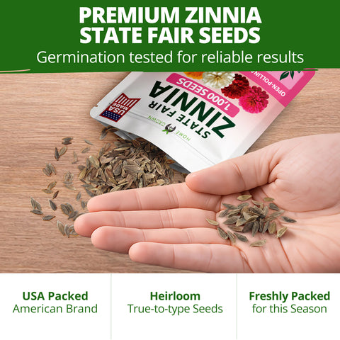 HOME GROWN State Fair Zinnia Seeds – 1,000 Zinnia elegans Seeds (7.5g), Large Double Blooms, Pollinator Friendly, Beds & Borders, Spring 2026