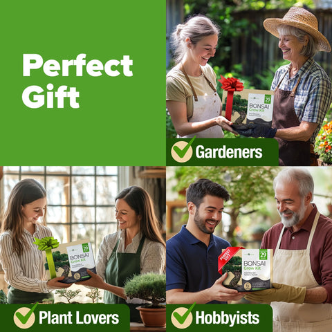 Bonsai Starter Kit - 6 Seed Varieties