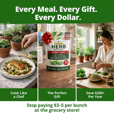 Culinary Herb Seed Vault - (15 Variety)