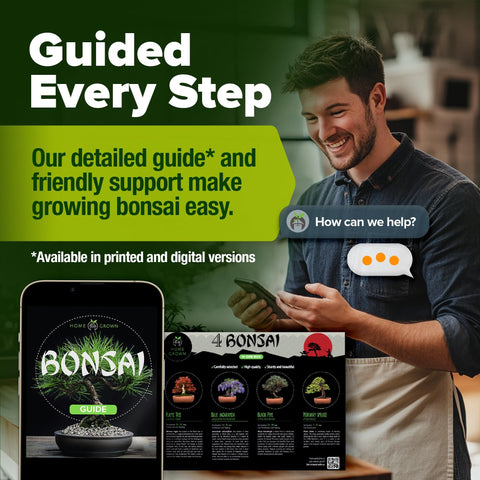 Bonsai Tree Grow Kit