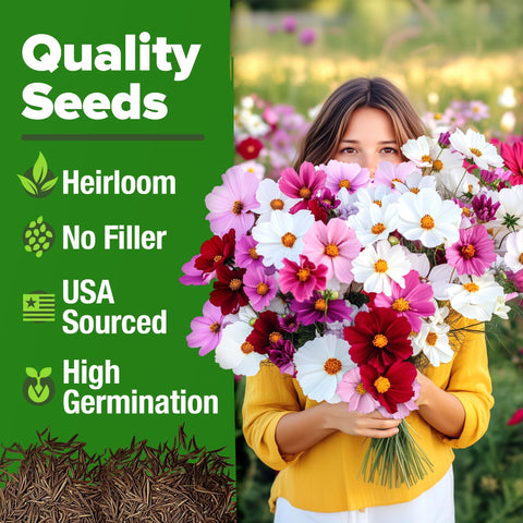 Sensation Mix Cosmos Seeds - 8,000 Seeds (1.8 oz) - Tall Annual Blooms