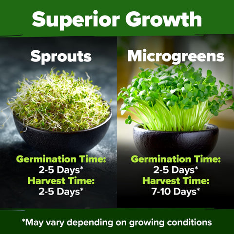 Sprouts and Microgreens Seeds Bulk Mix (16oz)