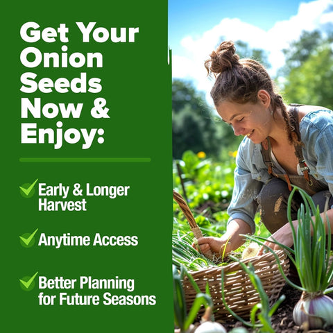 Onion Seed Pack - 8 Varieties - High Germination