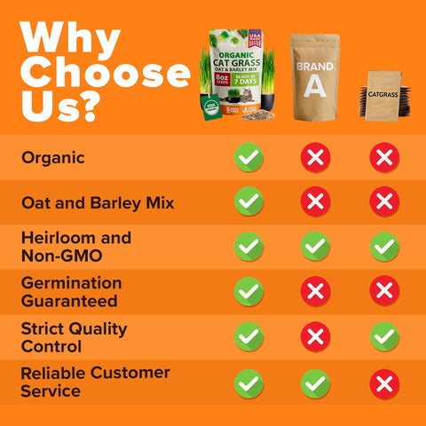 Organic Cat Grass Seeds - 8 oz - Oat & Barley Blend