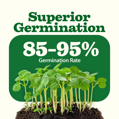Heirloom Vegetable Seeds - (32 Variety)