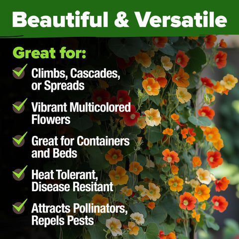 Dwarf Nasturtium Seeds - 250 Seeds - Edible Flowers (1oz)