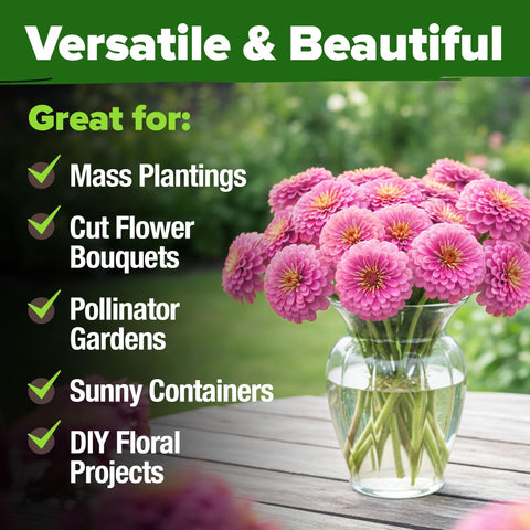 Dwarf Zinnia Seeds Mix - 17,000 Seeds - Cut-and-Come-Again Blooms