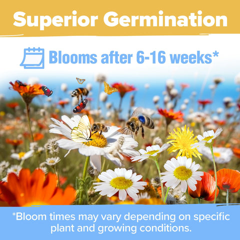 Honeybee Wildflower Seed Mix - 89,000+ Seeds (3 oz) - 19 Varieties