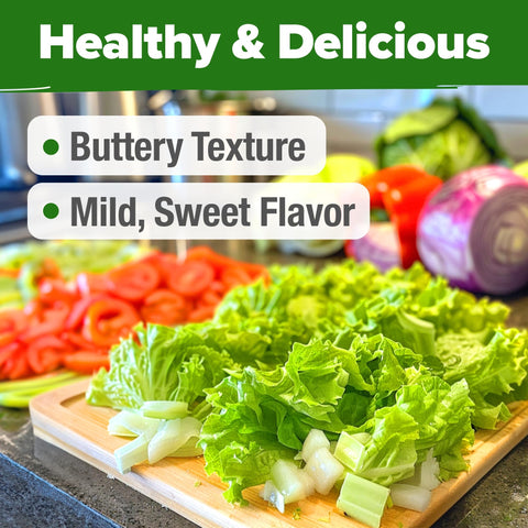 Buttercrunch Lettuce Seeds - 1,975 Seeds - Classic Butterhead