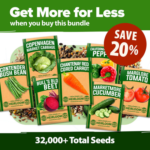 Herb & Vegetable Seed Vault - 70 Varieties (32,000+ Seeds)