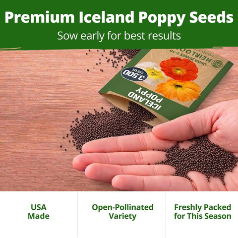 Iceland Poppy Seeds - 3,500 Seeds - Pastel Perennial Blooms