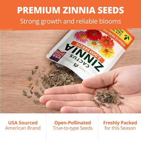 Cactus Mix Zinnia Seeds - 2,000 Seeds - Large Cut-Flower Blooms (1/2 oz)