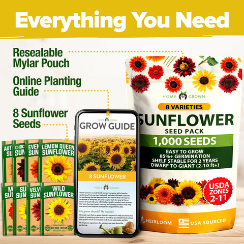 Sunflower Seeds - (8 Variety)