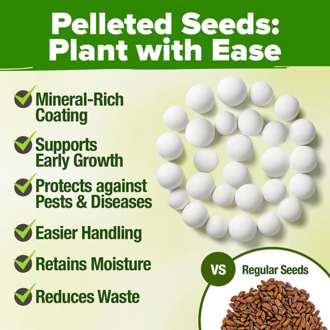 Organic Herb Seed Pack - 15 Varieties - USDA Certified
