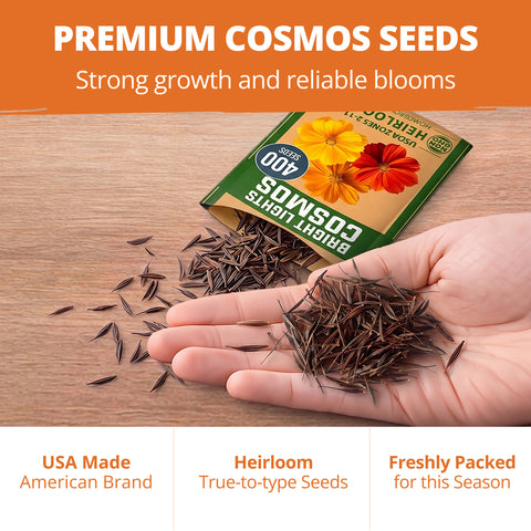 HOME GROWN Cosmos Bright Lights Mix Seeds – 400 Seeds for Spring 2026, Cosmos sulphureus, Easy Grow Outdoor Wildflower Mix