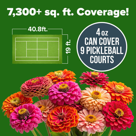 California Giant Zinnia Seeds - 14,600 Seeds (4 oz) - Double Blooms
