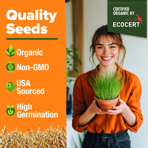 Organic Cat Grass Seeds - 8 oz - Oat & Barley Blend