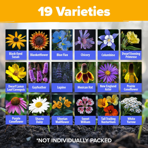 Perennial Wildflower Seed Mix - 63,200+ Seeds - 19 Varieties