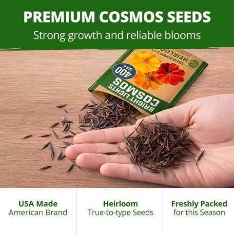 Bright Lights Cosmos Seeds - 400 Seeds - Easy-Grow Annual Mix
