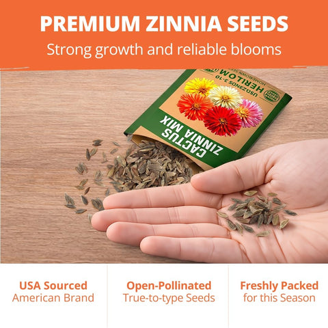 Cactus Mix Zinnia Seeds - 650 Seeds - Large Cut-Flower Blooms