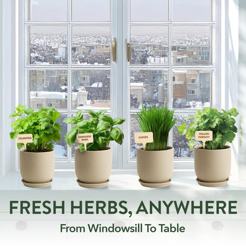 Organic Indoor Herb Garden Kit - 4 Herb Varieties - With Pots & Soil