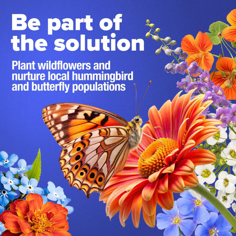 Birds & Butterflies Wildflower Seed Mix - Includes Milkweed