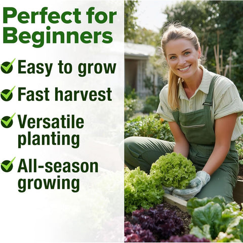 Lettuce and Leafy Greens Seeds - (10 Variety)