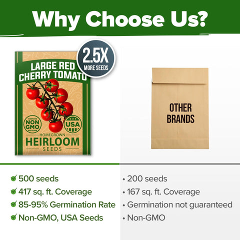 Large Red Cherry Tomato Seeds - 500 Seeds - Bite-Size Heirloom