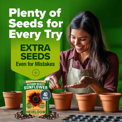 Autumn Beauty Sunflower Seeds - 40 Seeds - Multi-Color Blooms