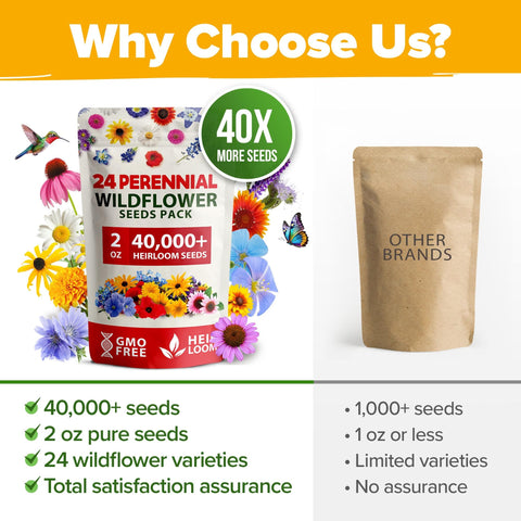 Perennial Wildflower Seed Mix - 60,600+ Seeds (2 oz) - 24 Varieties