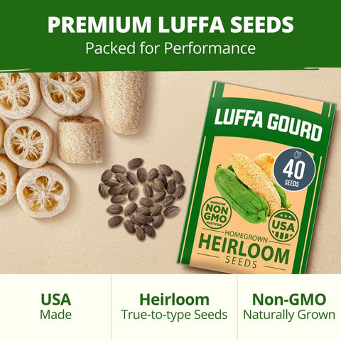 Luffa Seeds - 40 Seeds - Grow Natural Sponges