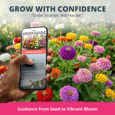 Lilliput Mix Zinnia Seeds - 2,500 Seeds (1/2oz) - Petite Pompom Blooms