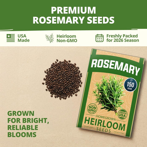 Rosemary Seeds - 150 Seeds - Classic Perennial Herb