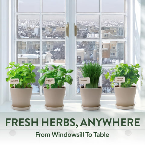 Indoor Herb Garden Kit - 4 Herb Varieties - Pots, Soil & Seeds