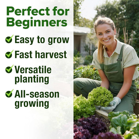Lettuce Seed Pack - 20 Varieties (21,600+ Seeds) - Salad Greens Mix